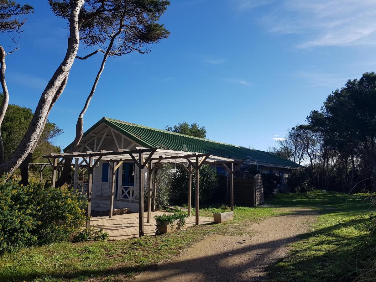 Le Studio De Giens Hyères Eksteriør billede