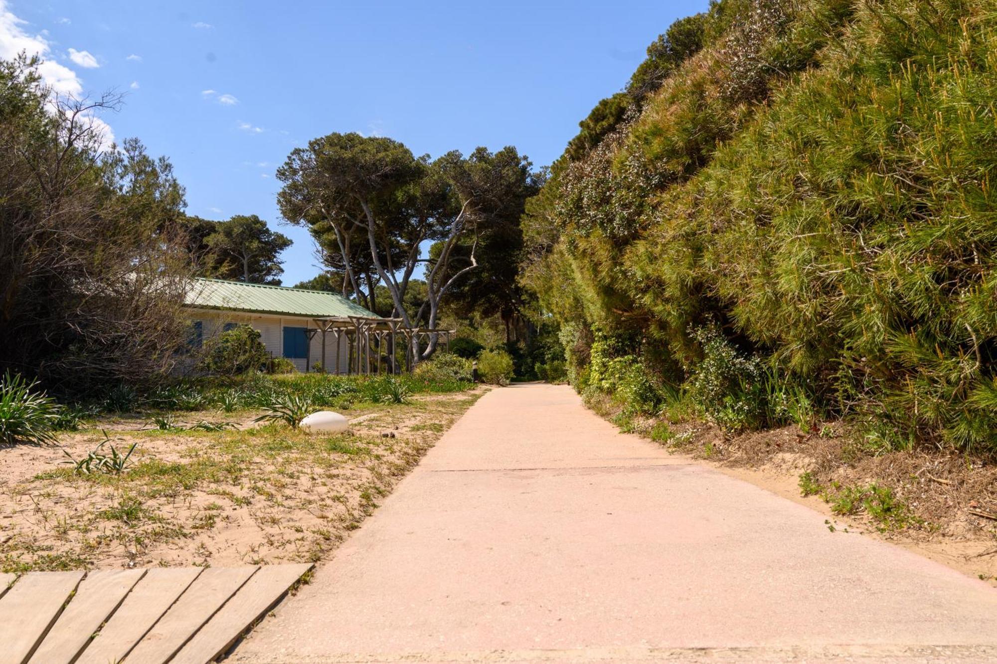 Le Studio De Giens Hyères Eksteriør billede
