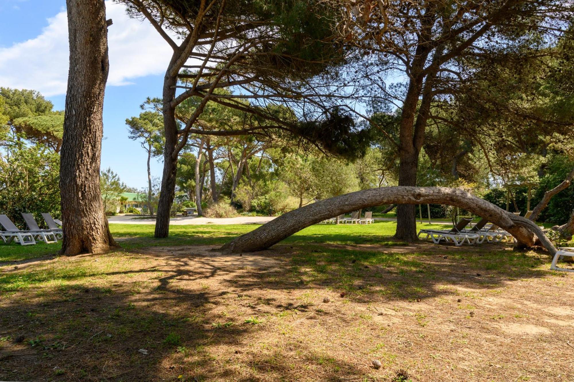 Le Studio De Giens Hyères Eksteriør billede