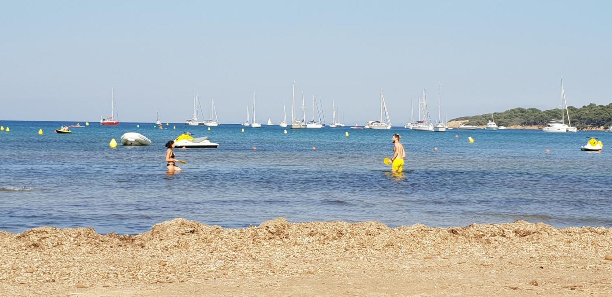 Le Studio De Giens Hyères Værelse billede